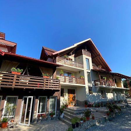 Vila Sorina Borşa エクステリア 写真