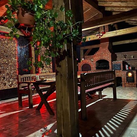 Vila Sorina Borşa エクステリア 写真
