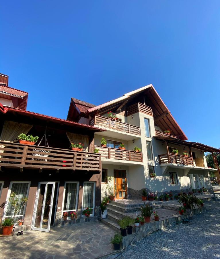 Vila Sorina Borşa エクステリア 写真