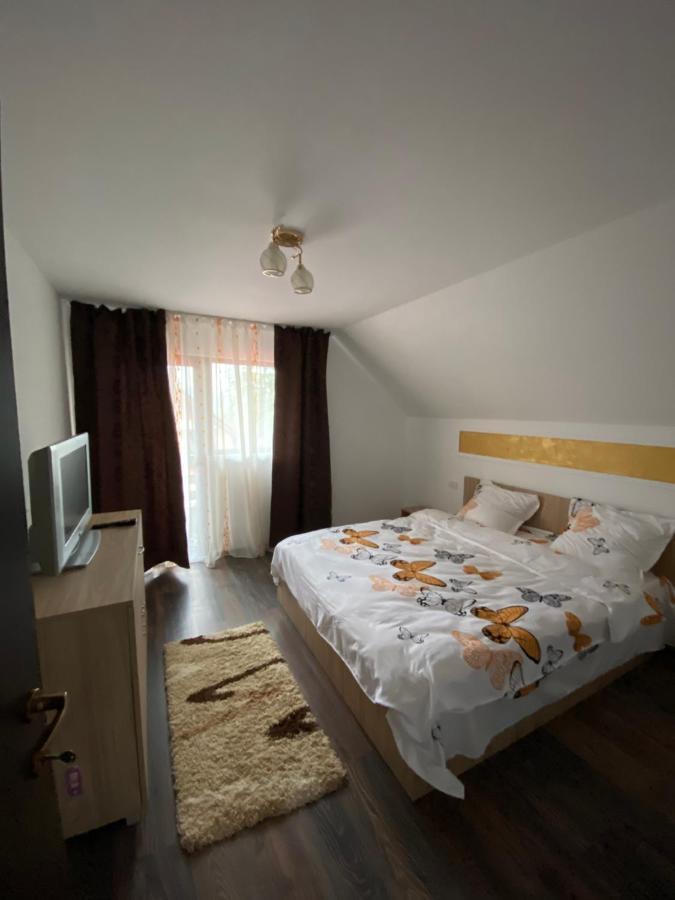 Vila Sorina Borşa エクステリア 写真