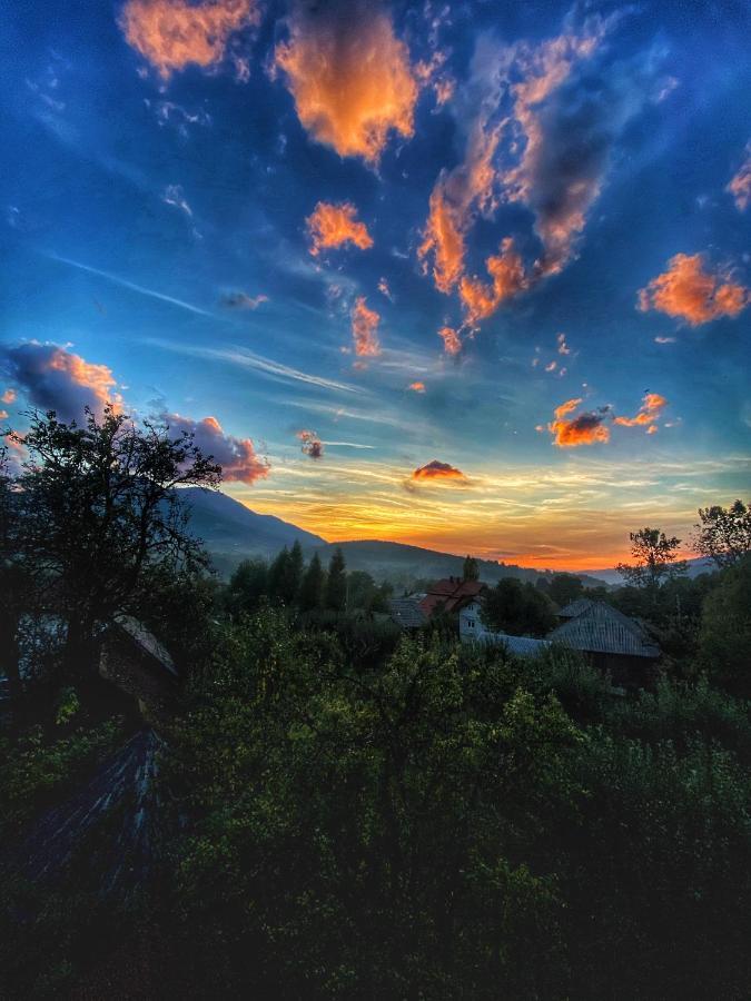 Vila Sorina Borşa エクステリア 写真