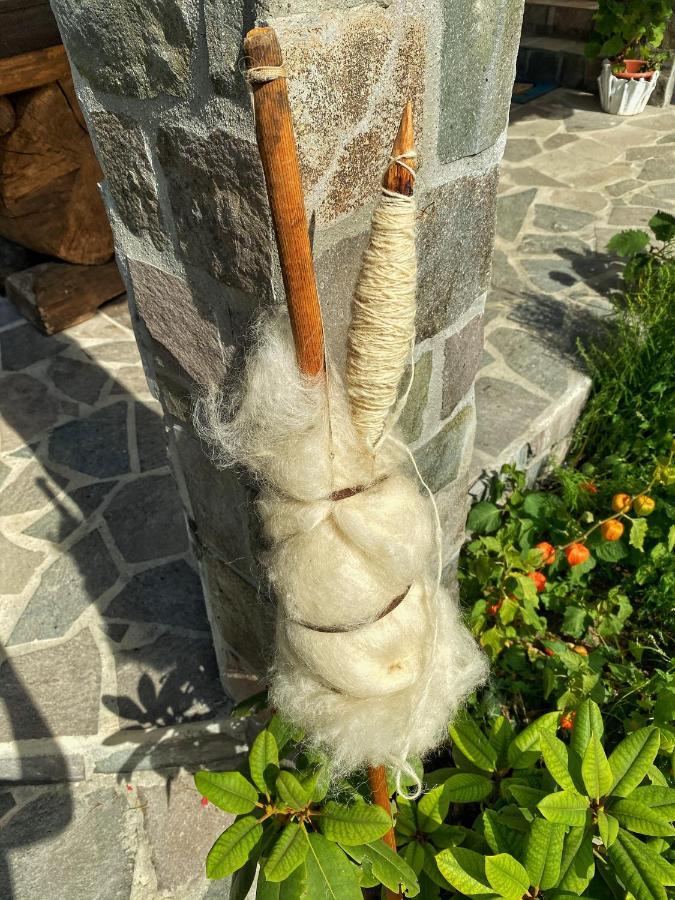 Vila Sorina Borşa エクステリア 写真