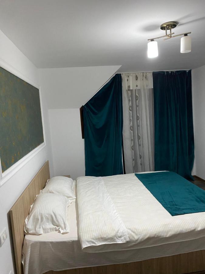 Vila Sorina Borşa エクステリア 写真