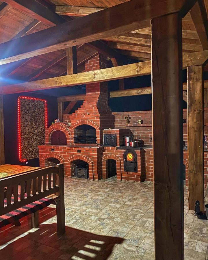 Vila Sorina Borşa エクステリア 写真